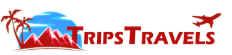 Destinex website favicon